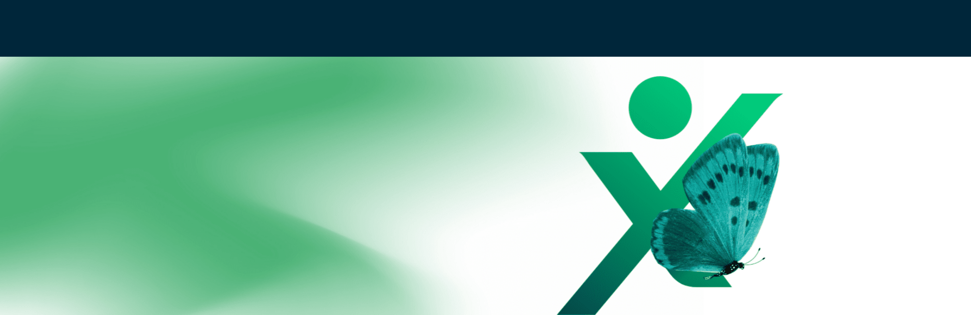 What organisations look for when hiring IFAs